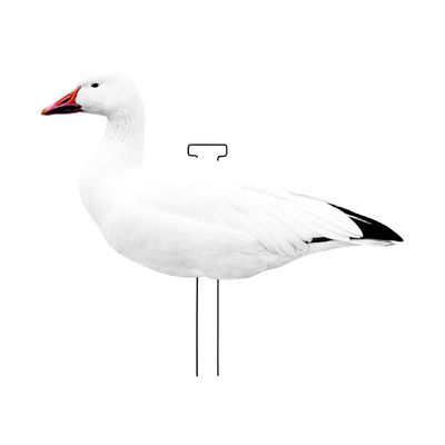 Snow Goose Hunting Decoy Eva Plastic Flocked Silhouette Geese Decoys Juvenile Geese Design